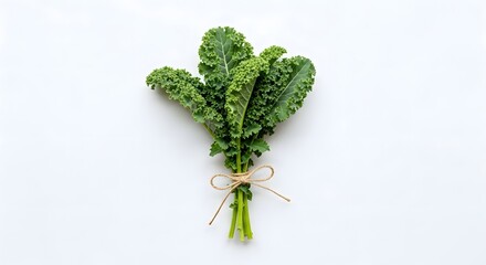 A bundle of fresh green kale tied with twine on a plain white background surface