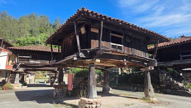 Traditional horreo granary in bue&ntilde;o, asturias, spain amidst lush greenery and blue sky