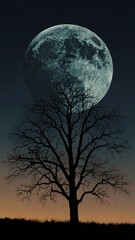 Silhouetted tree against full moon at dusk
