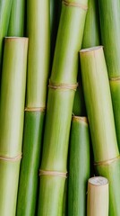 Obraz premium Close up view of delicious homemade pizza with melted cheese fresh basil leaves and crispy golden crust on plain white background