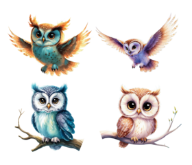 Cute watercolor owls set on transparent background. Watercolor Illustration for Nursery and Storybook Projects on White Background. Owl isolated on white.