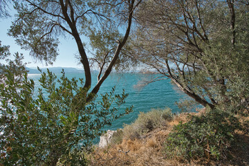 Mediterranean Coastal Vegetation with Sea View in Greece