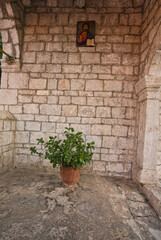 Potted Plant Beneath Religious Icon in Catholic Church, Nafplio