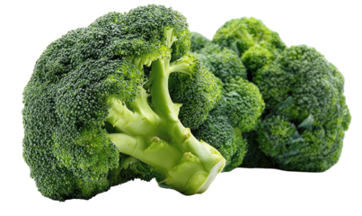 Close-up of two heads of fresh broccoli.  Bright green florets tightly clustered.  Stems are a lighter green.  Isolated against a black background