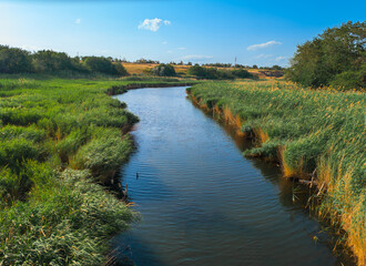 Fototapeta premium A bend in a river with small waves, a blue sky with clouds reflected in the water, reeds growing along the banks, a sunny summer day.
