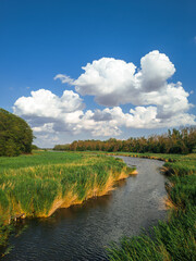 A bend in a river with small waves, a blue sky with clouds reflected in the water, reeds growing along the banks, a sunny summer day.
