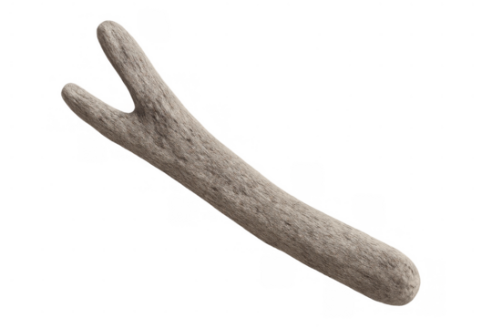 Driftwood slingshot y-shaped branch, natural wood stick texture, element on transparent background for design