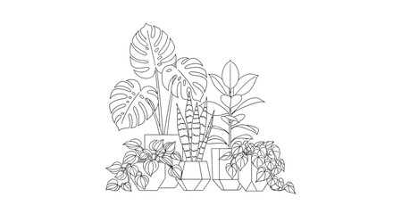 A black and white line art illustration of various potted houseplants, including Monstera, Snake Plant, and Rubber Plant. © Wisnu505