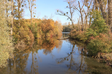 Fototapeta premium Herbstlicher Sondernheimer Altrhein