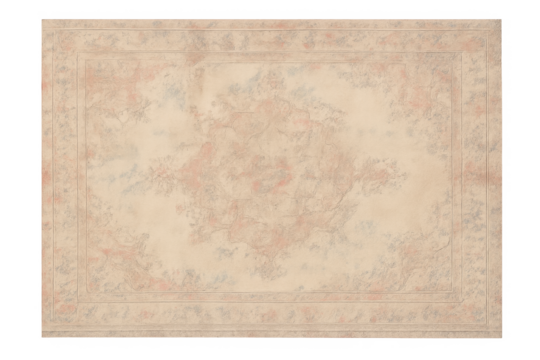 Vintage distressed abstract border carpet rug