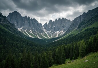 Obraz premium Dramatic, jagged alpine peaks rising high above a vast, pristine green valley, covered in dense, dark coniferous forest. A remote European wilderness scene ,pristine ,high ,hiking