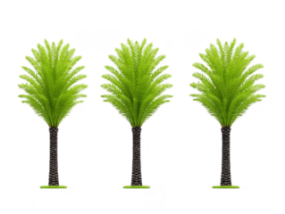 Three tall green palm trees with textured brown trunks and lush fronds isolated on transparent background, evoking tropical, relaxing, and summery atmosphere