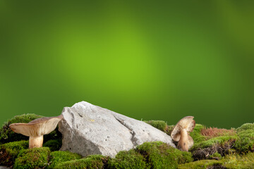 Natural composition with stone podium, mushrooms and green moss on deep gradient green background. Ideal nature-inspired backdrop for eco cosmetic product mockup, organic packaging design.