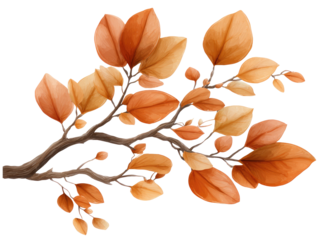 Autumn branch with warm-toned leaves