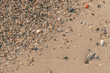 Pebbles at the sandy beach in summer