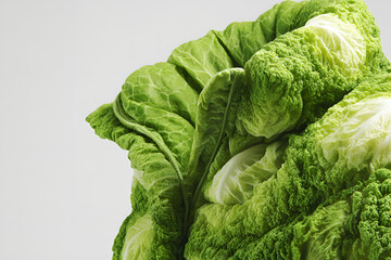 Obraz premium Fresh lettuce textured puffer vest close up