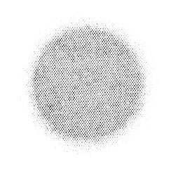 Circular halftone pattern with consistent dot spacing, softly fading at the edges on a transparent background.