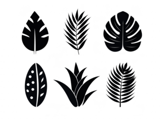 Tropical leaf set black silhouette isolated on transparency background includes palm monstera and various exotic foliage perfect for botanical nature and decorative design projects