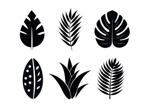 Tropical leaf set black silhouette isolated on transparency background includes palm monstera and various exotic foliage perfect for botanical nature and decorative design projects
