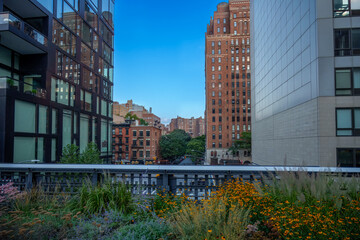 Highline, high line boardwalk, walk, urban garden in New York City NYC, High Line, between tree tops and buildings
