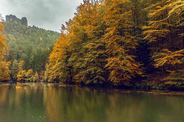 Autumn forest and calm lake near Bastei Bridge in Saxon Switzerland, Germany