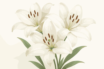 Fototapeta premium Elegant White Lilies. Elegant close-up of white lilies in full bloom on a clean white background, soft lighting highlighting their
