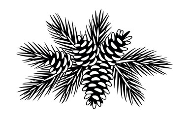 Naklejka premium A black and white illustration of pine cones on pine branches.