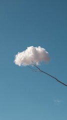 Minimalist cloud and branch against vibrant blue sky for creative designs