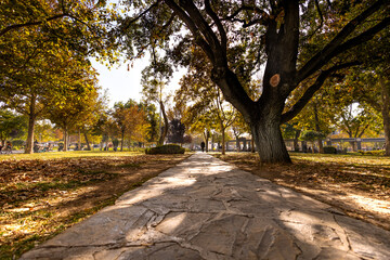 Obraz premium autumn in the park