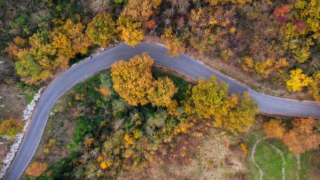 Vista zenitale di una strada che attraversa un bosco in pieno foliage autunnale, contrasti di rosso, giallo e verde. Ripresa aerea folliate