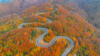 It's autumn time. Autumn colors. Spectacular autumn scenery.

