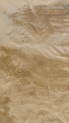 Texture of a natural surface with earthy tones seen under soft lighting in an outdoor setting