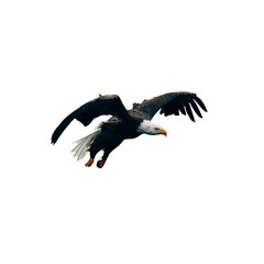 Majestic bald eagle soaring powerfully through the air with wings spread wide, embodying freedom, strength, and American spirit in a dramatic wildlife scene