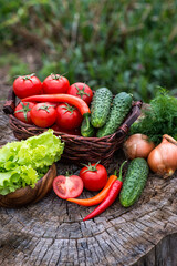Basket and wooden plate with fresh vegetables (tomatoes, cucumber, chili peppers, dill and lettuce) on wooden background. Outdoor, in the garden, on the farm.