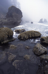 A foggy morning on the rocky Pacific coastline 