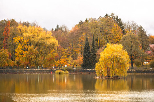 Fototapeta This tranquil pond in Kudowa Zdroj features vibrant autumn colors with shades of orange and yellow. Visitors stroll along the water's edge, enjoying the peaceful fall atmosphere.