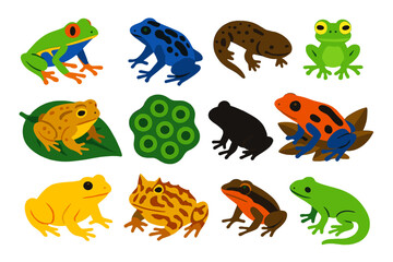 Obraz premium Rainforest Amphibian Icons. Flat vector icons of rainforest amphibians: red-eyed tree frog, poison dart frog, giant salamander,