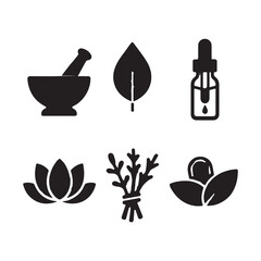 Flower line icon set. Rose, tulip in vase vector template