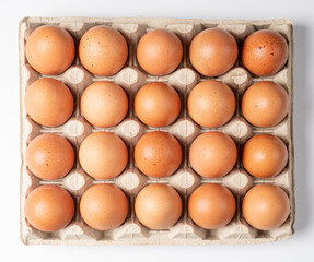 Egg Tray Isolated, Twenty Brown Eggs Pack, Fresh Organic Egg in Container