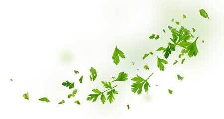 Chopped Parsley Leaves Isolated