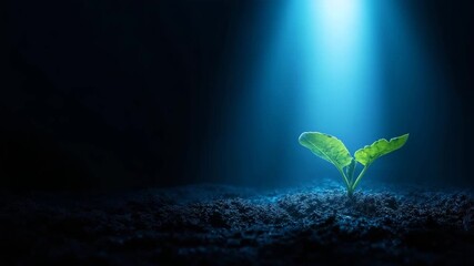 A single green seedling grows in the dark under a dramatic blue beam of light. New life, hope, and beginning concept. Vertical video with copy space - Powered by Adobe
