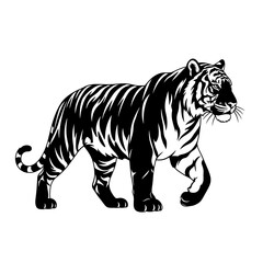 Majestic Tiger Walking in Black and White Illustration Style.