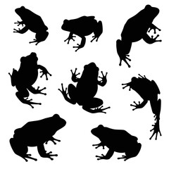 Naklejka premium Silhouetted Frogs - A Collection of Amphibian Outlines.