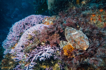 Farnsworth Pinnacles