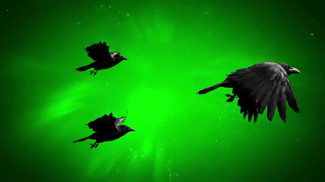 Green Screen black crows fly across the sky close on a scene 3 with distortion, overlay, glitch, static noise, scan lines background, 4k animated video loop