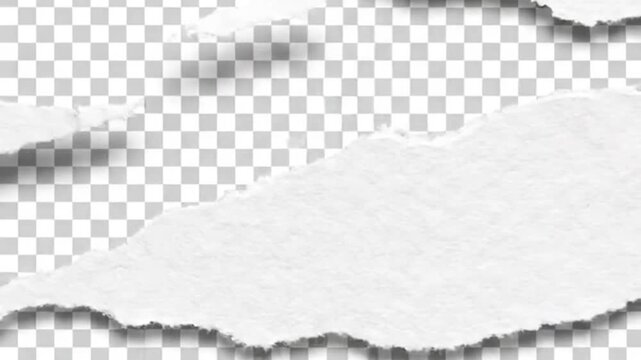 Ripped edge of white paper