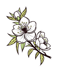 Elegant Spring Blossom Branch Line Art Vector Illustration with Leaves