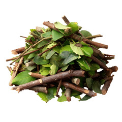 A heap of dry twigs and green leaves organic yard trimmings isolated on a clean white background