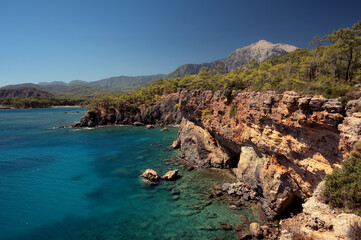 Fototapeta premium View of the beautiful tree-covered cliffs meeting the clear turquoise water of the Mediterranean Sea near Phaselis, Kemer. A sunny, scenic summer coast of the Turkish Riviera.
