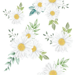 Watercolor flower daisy seamless pattern